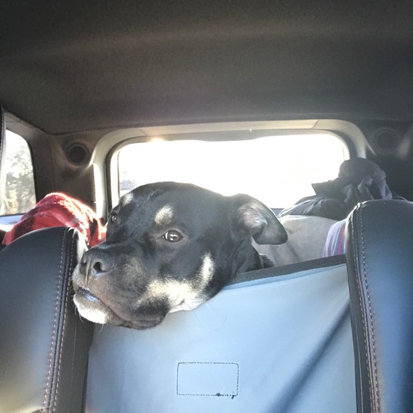 Meet your Posher, Sara πππ - Picture 8 of 8